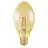 Ledvance Vintage 1906 LED E27 Sferica Oro 4W 470lm - 824 Bianco Molto Caldo | Sostitua 40W